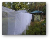 Kaleidoskop Riset Kesehatan Angkatan Darat (5)