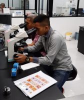 Pemeriksaan mikroskopi malaria oleh staf Laksesmil